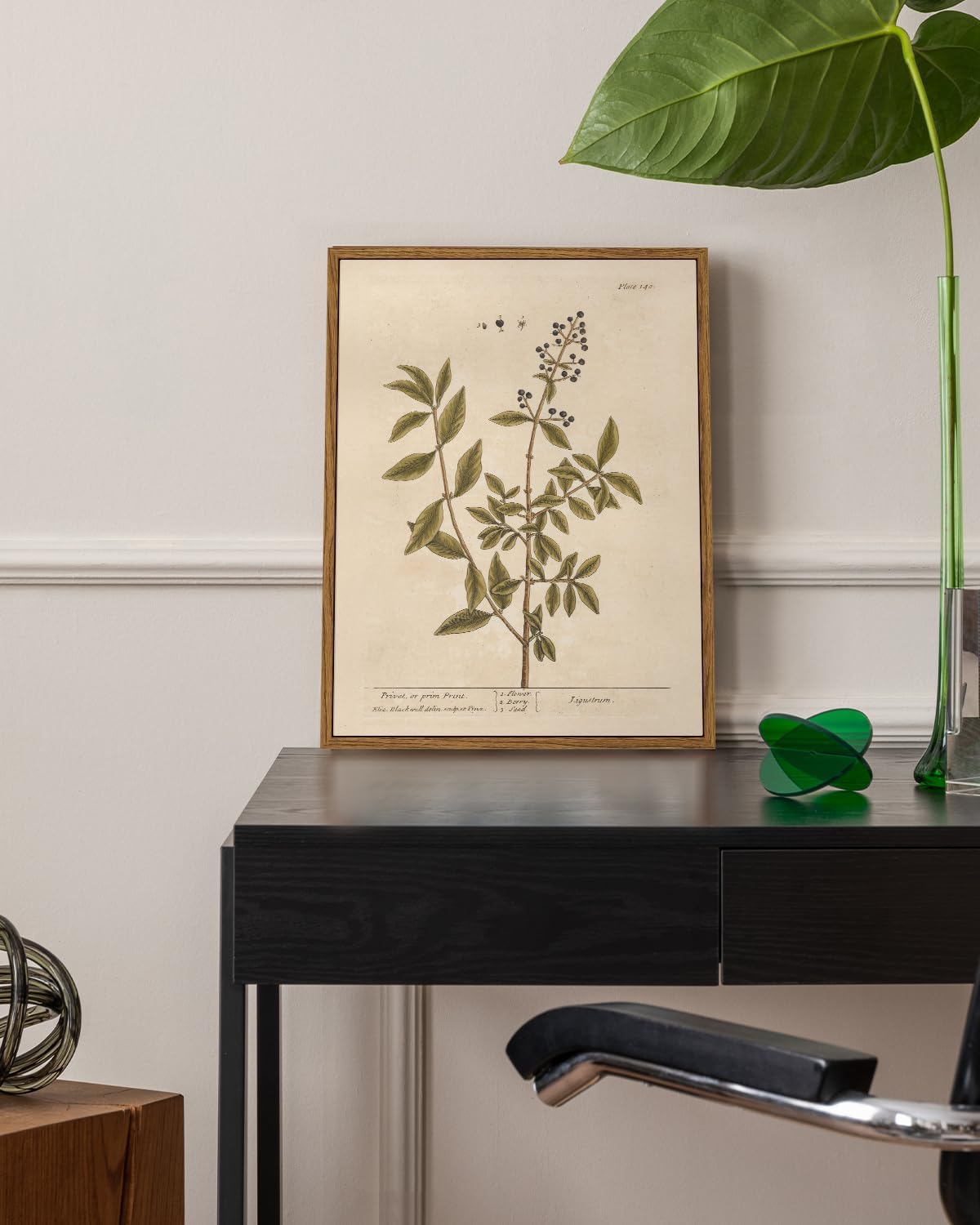 VIYYIEA Framed Canvas Wall Art Home Decor Boho Plant Wall Decor Minimalist Botanical Print Canvas Wall Art Pictures for Rustic Vintage Farmhouse Home Kitchen Room Decor 11x14in