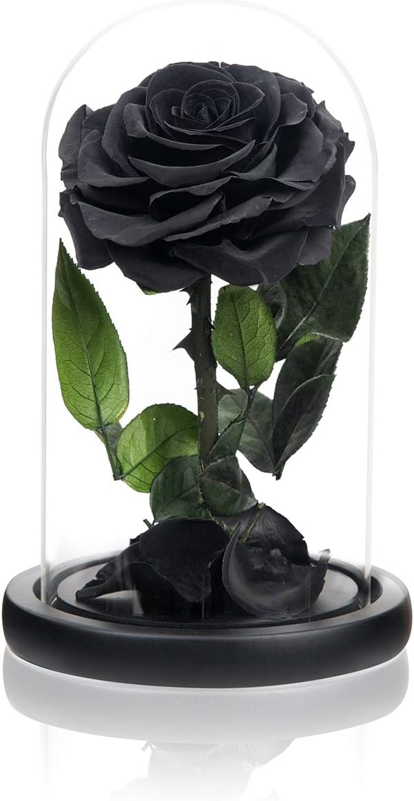NATROSES Christmas Birthday Gifts for Women, Handmade Preserved Roses in Glass Dome, Black Roses Roses, Preserved Flowers Gifts for Mom, Mothers Day Flowers