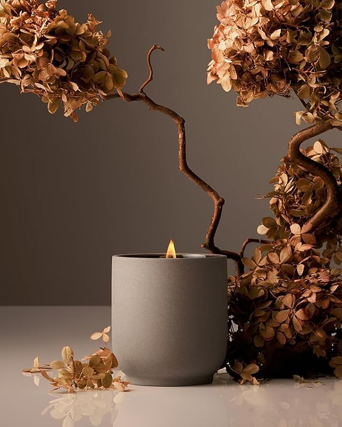 Homecourt by Courteney Cox Luxury Scented Candle, Cece, 8 oz | Gently Cleanses & Hydrates, Removes Dirt & Debris Without Irritating Skin, Clean Formula