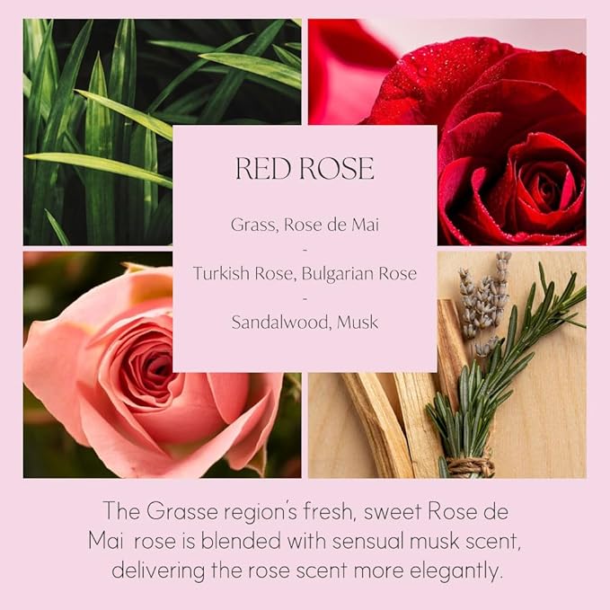 396 st. Dahlia Flower Reed Diffuser, Black Cherry, 200ml(6.7oz) / Reed Diffuser Sets, Home Fragrance, Scented Oils, Home & Bathroom Décor