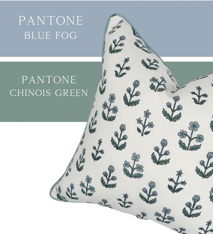 Jillien Harbor "The Beau” Floral Block Print Pillow Cover – Blue Decorative Throw Pillow Cover with White Background – Grandmillennial Home Decor, 20" x 20"