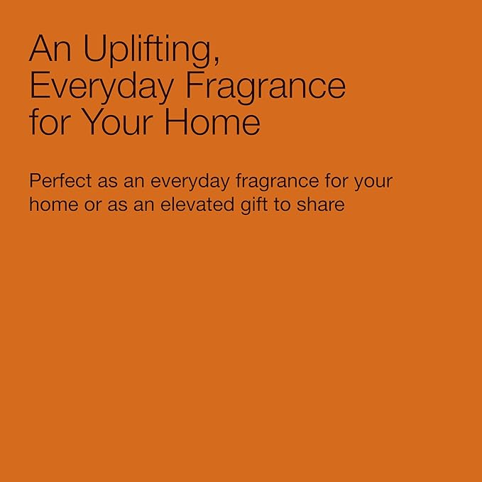 Bath & Body Works 3-Wick Candle, Sweet Orange & Agave Citrus Candle, Strong Throw, Long-Lasting Burn Up to 45 Hours, Exclusively Fragranced Soy Wax Blend, 14.5 oz - 2 Pack