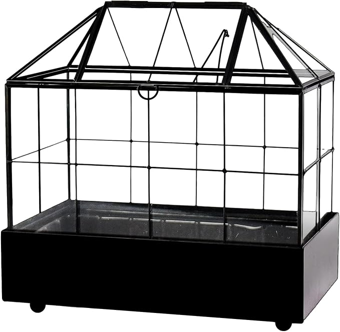 YIMORENCE V Large Tall Plant Terrarium Glass Greenhouse with Lid and Tray, Indoor Tabletop Orchid Succulent Cacti Kit 9.5'X9.8'X5.6'