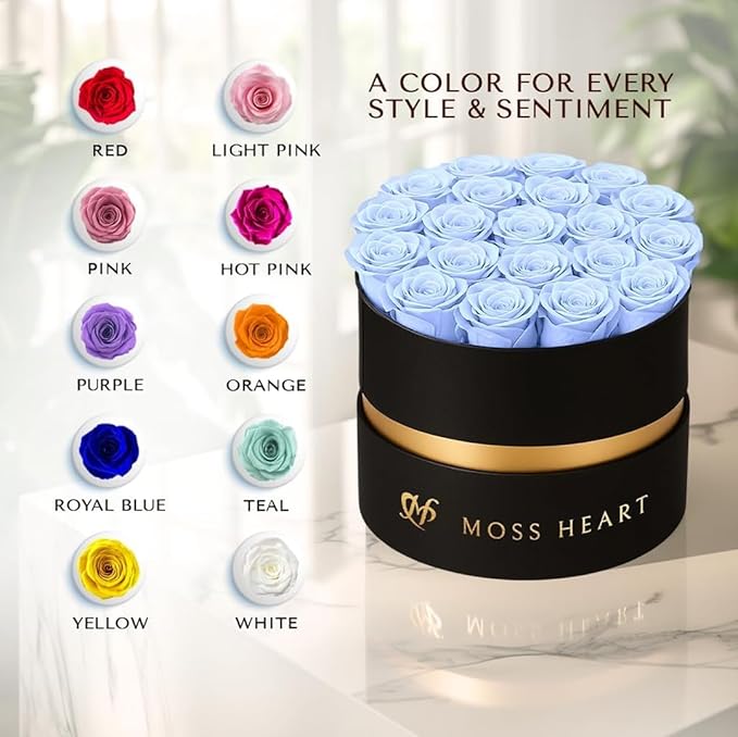 20 Mini Preserved Roses, Round Luxury Gift Box, Real Forever Roses Last 1+ Year, Premium Romantic Gift for Women, Wife, Girlfriend, Mother’s Day, Birthday, Anniversary, Valentine’s Day