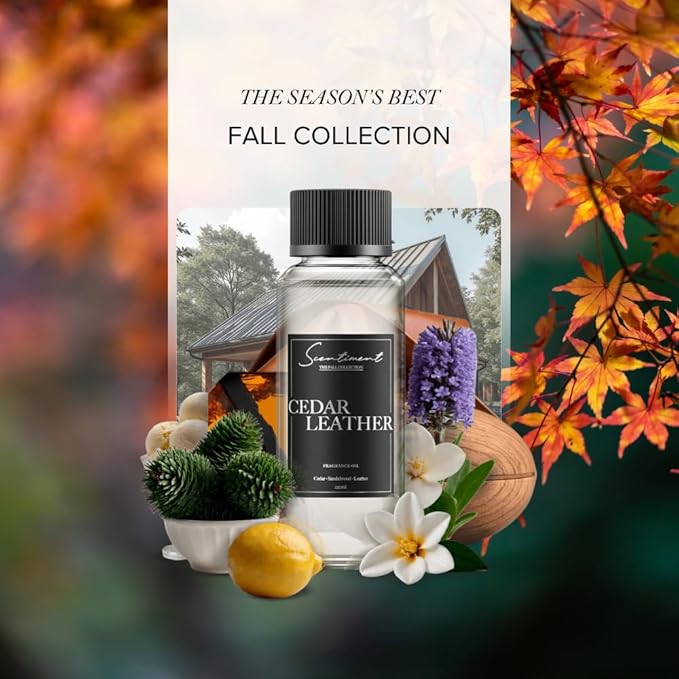 Scentiment Diffuser Oil – Cedar Leather | Warm Woody Fragrance with Notes of Leather, Cedarwood, Amber & Soft Vanilla | for Cold Air Diffusers (120 mL)