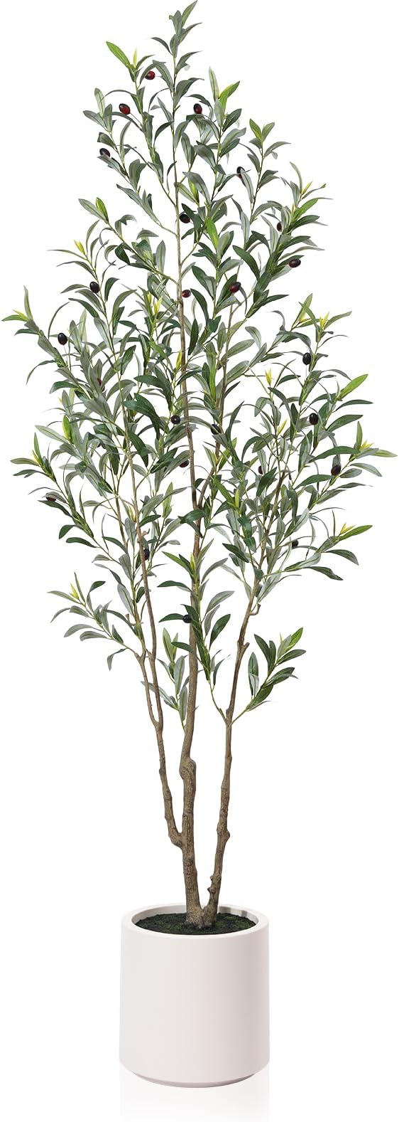 LOMANTO Artificial Olive Trees, 6 ft Tall Fake Olive Trees for Indoor | Faux Olive Silk Tree with White Planter,Large Olive Plants for Home Decor and Housewarming Gift, 1 Pack