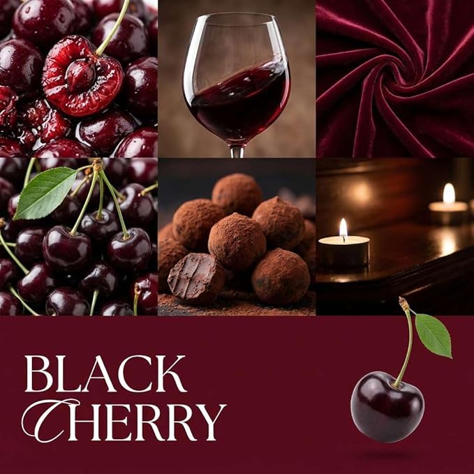 Black Cherry Strongly Scented Hand Poured Vegan Wax Melts, 12 Scented Wax Cubes, 6.4 Ounces in 2 x 6-Packs