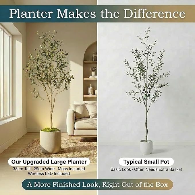 Artificial Olive Tree with Large Modern Planter, Rechargeable Wireless LED Light & Moss - Realistic Fake Potted Indoor Plant for Office and Home Decor (5.5FT)