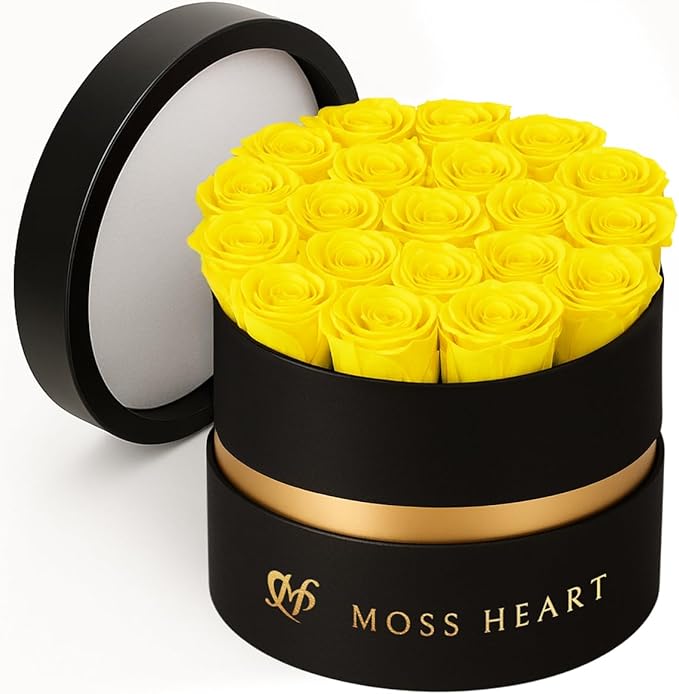 20 Mini Preserved Roses, Round Luxury Gift Box, Real Forever Roses Last 1+ Year, Premium Romantic Gift for Women, Wife, Girlfriend, Mother’s Day, Birthday, Anniversary, Valentine’s Day