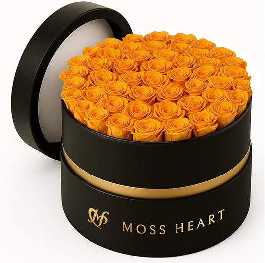 50 Petite Preserved Roses, Designer Round Box, Real Forever Roses Last 1+ Year, Premium Gift for Women, Wife, Girlfriend, Mother’s Day, Birthday, Anniversary, Valentine’s Day