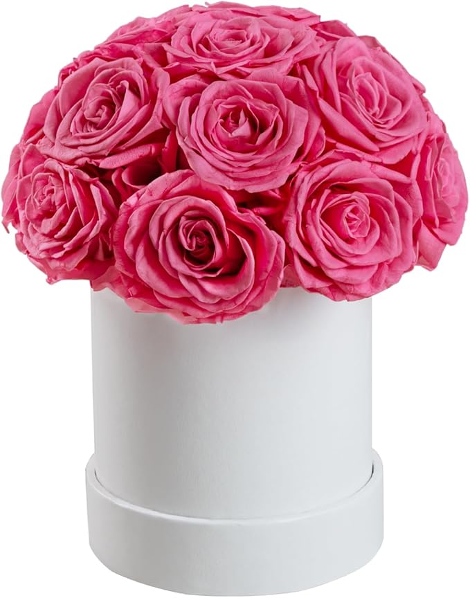 18 Preserved Roses in Round Dome Shape, Mother's Day Real Forever Flowers Rose Box, Eternal Rose Gift for Her Women Girl Friend Wife, Flower Gift for Valentines Day(Pink)