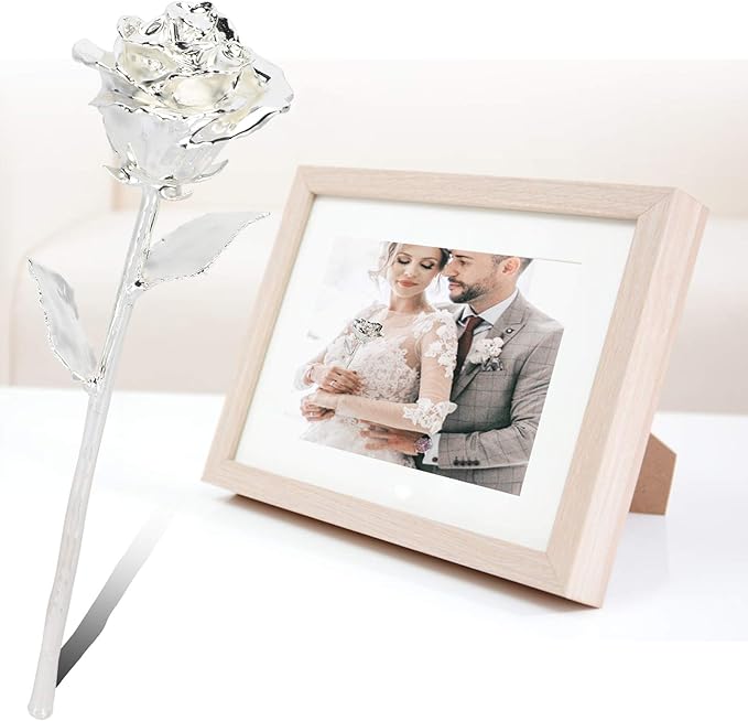 25th Anniversary Silver Rose, 24K Gold Dipped Flower Long Stem Forever Preserved Eternal Rose Present for Her Wife Mom, Birthday Valentine's Day Wedding