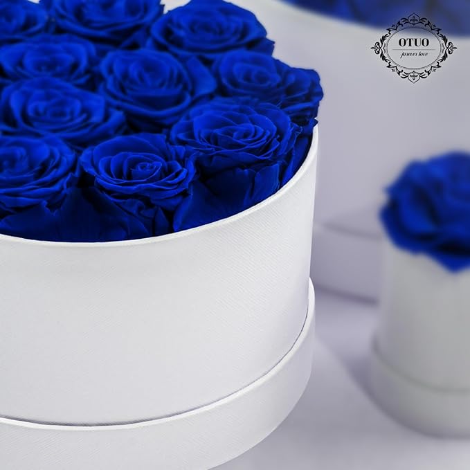12 Piece Preserved Roses in a Box - Forever Flowers for Delivery Prime, Eternal Roses Mothers Gifts for Mom, Valentine's Day, Wife Anniversary Birthday Gifts for Women(Blue)