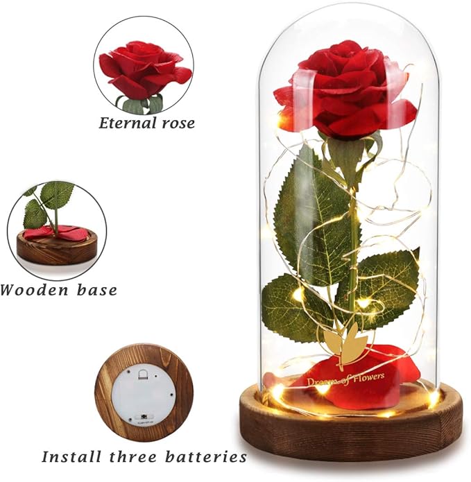 Beauty and the Beast Rose, Mothers Day Forever Preserved Flower Rose Gifts for Mom, Birthday Gift for Women, Light Up Rose in Glass Dome, Eternal Rose Flower Gifts Girlfriends for Wife