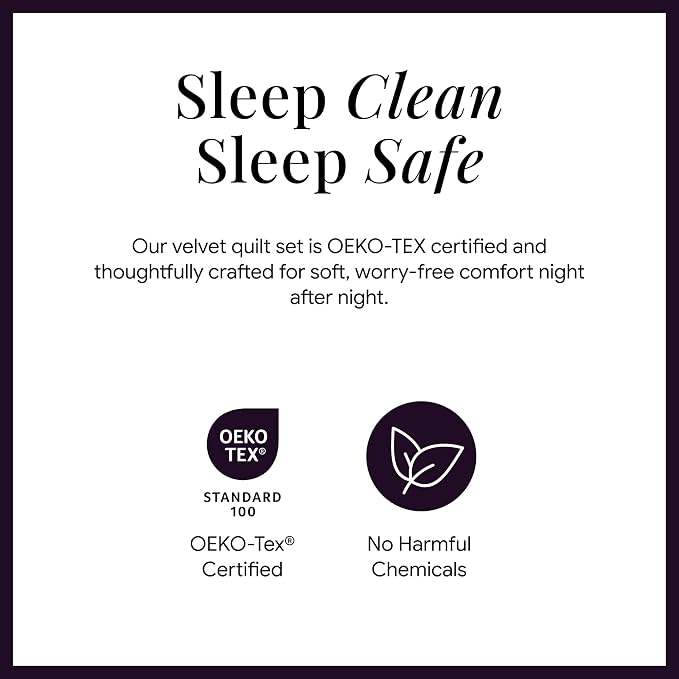 Tribeca Living Luxury Velvet Quilt Queen Size Set - 260GSM Ultra-Soft Oversized Velvet Bedspread Comforter Set with 2 Shams, in Florence Purple