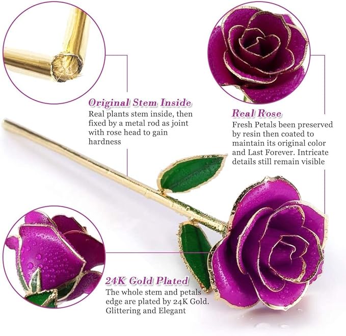 Ejoyous Gold Dipped Rose with Stand, Long Stem Forever Preserved Rose Flower Her and Wife Mother Girlfriend on Valentine's Day Birthday Christmas Day Anniversary Mother Day