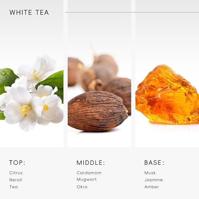 White Tea Aroma Essential Oil Blend Sublime Scent, Hotel Diffuser Oil Inspired by The White Tea Scent - Premium Fragrance Oil No. SA62489172 for Ultrasonic and Waterless Diffusers - 250 mL, 8 fl oz