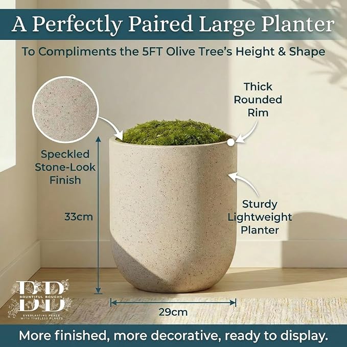 Artificial Olive Tree with Large Modern Planter, Rechargeable Wireless LED Light & Moss - Realistic Fake Potted Indoor Plant for Office and Home Decor (5.5FT)