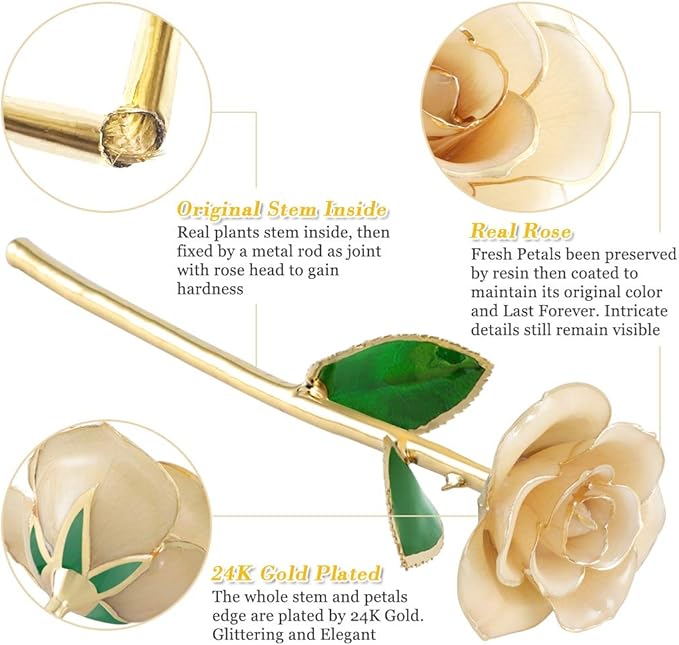 Ejoyous 24K Gold Rose, Forever Preserved Real Rose Lover Mom Wife Daughter Girl Friend, Unique Present on Valentines Day, Wedding Anniversary, Birthday, Proposal, Reward (Ivory