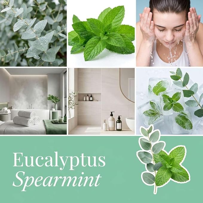 Eucalyptus Spearmint Strongly Scented Hand Poured Vegan Wax Melts, 12 Scented Wax Cubes, 6.4 Ounces in 2 x 6-Packs