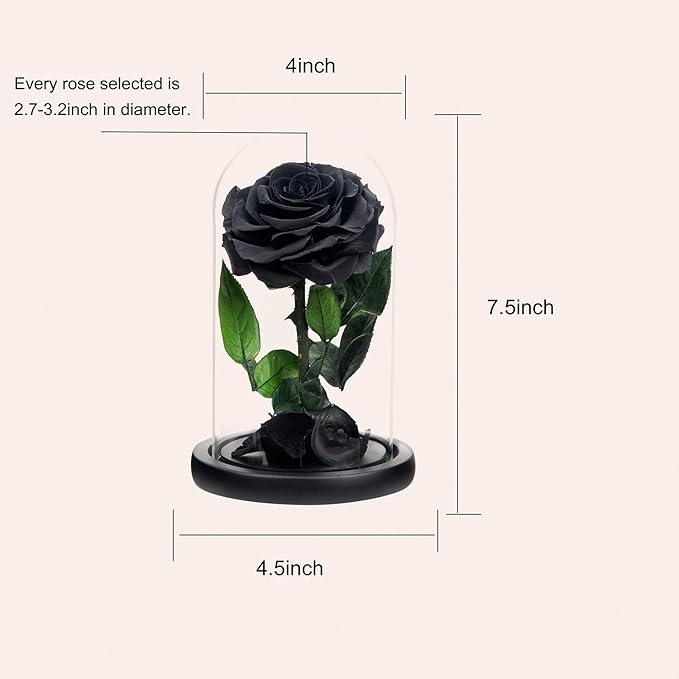 NATROSES Christmas Birthday Gifts for Women, Handmade Preserved Roses in Glass Dome, Black Roses Roses, Preserved Flowers Gifts for Mom, Mothers Day Flowers