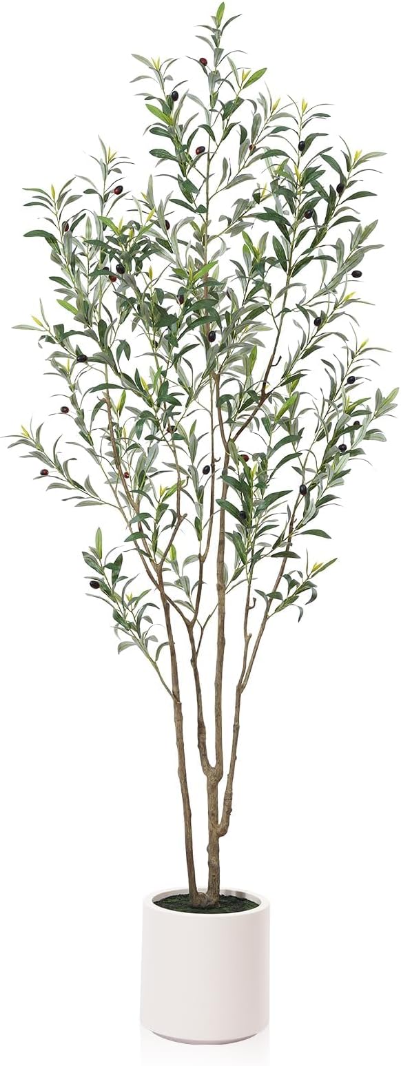 LOMANTO Artificial Olive Trees, 7 ft Tall Fake Olive Trees for Indoor | Faux Olive Silk Tree with White Planter,Large Olive Plants for Home Decor and Housewarming Gift, 1 Pack