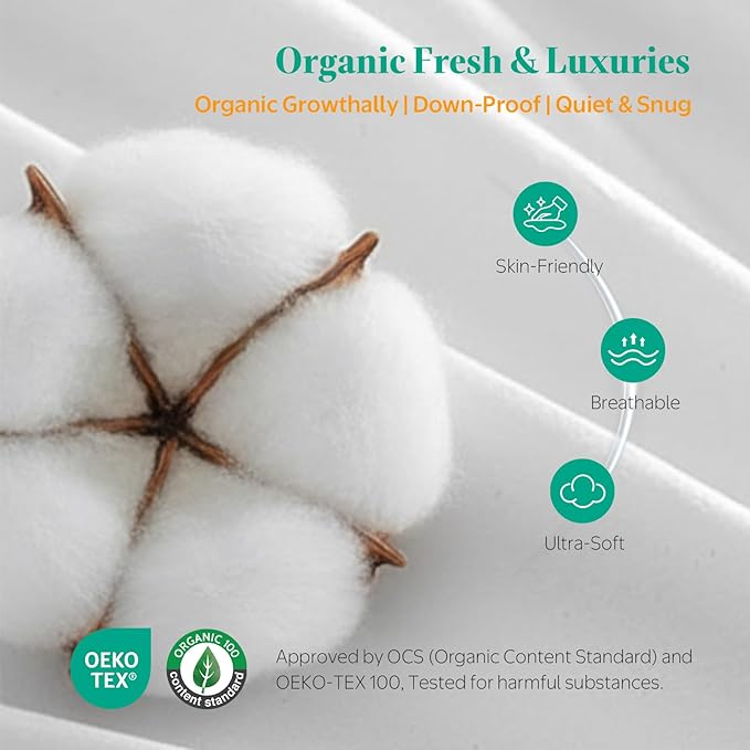 APSMILE Down Feather Throw Pillow Inserts, 22x22 Pillows Set of 2 with Organic Cotton Cover, Soft Square Decorative Pillows for Couch Living Room, Sofa, and Bed（White）
