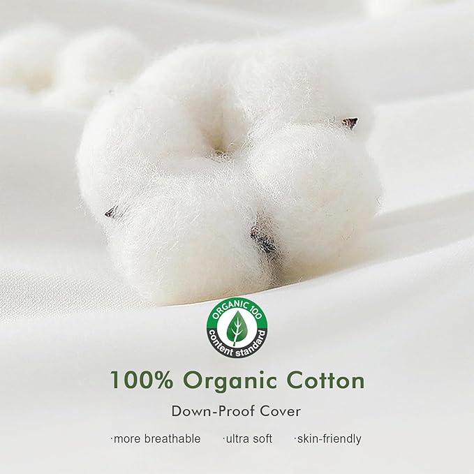 TOPGREEN Feathers Down Pillow Inserts 26x26, Set of 2, Euro Pillow Insert with 100% Organic Cotton Shell, Soft Decorative Throw Pillow for Living Room, Sofa, Couch, or Bed (White)