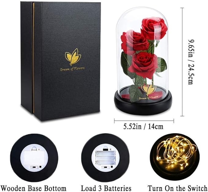 Beauty and The Beast Rose Valentines Day Gifts for Her, Birthday Gifts for Women, Light Up Roses, Glass Dome Rose with LED Lights, Red Roses, Valentines Mother Women's Gift for Mom Wife Girlfriend
