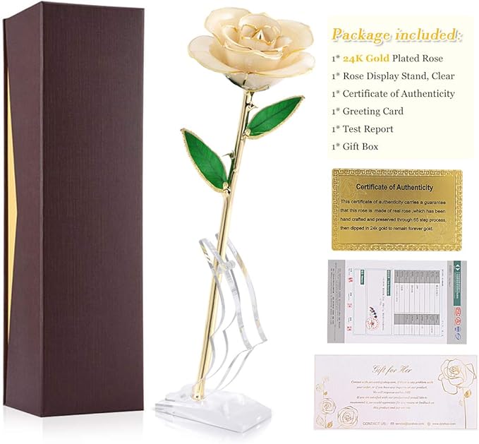 Ejoyous 24K Gold Rose, Forever Preserved Real Rose Lover Mom Wife Daughter Girl Friend, Unique Present on Valentines Day, Wedding Anniversary, Birthday, Proposal, Reward (Ivory