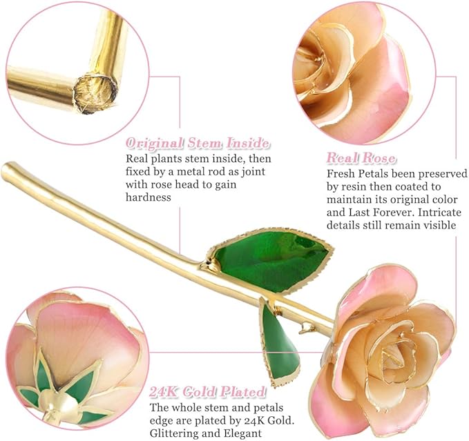 Ejoyous 24K Gold Rose, Forever Preserved Real Rose Lover Mom Wife Daughter Girl Friend, Unique Present on Mother's Day, Wedding Anniversary, Birthday, Proposal, Reward (White