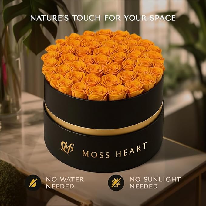 50 Petite Preserved Roses, Designer Round Box, Real Forever Roses Last 1+ Year, Premium Gift for Women, Wife, Girlfriend, Mother’s Day, Birthday, Anniversary, Valentine’s Day