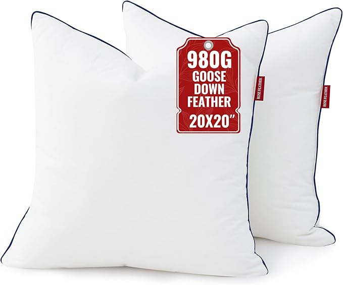 Down Pillow Inserts 20x20, Set of 2, 100% Goose Down Feather Throw Pillows Inserts, Triple-Layer Downproof, Decorative Pillow Insert with Soft Cotton Cover for Couch,Sofa,Bed,Living Room
