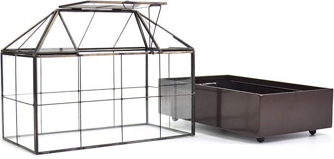 YIMORENCE V Large Tall Plant Terrarium Glass Greenhouse with Lid and Tray, Indoor Tabletop Orchid Succulent Cacti Kit 9.5'X9.8'X5.6'