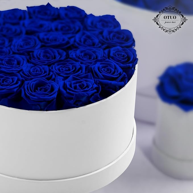 27 Piece Preserved Roses in a Box - Forever Flowers for Delivery Prime, Eternal Roses Mothers Gifts for Mom, Valentine's Day, Wife Anniversary Birthday Gifts for Women(Blue)