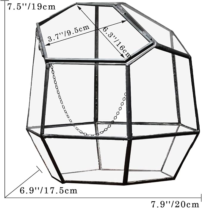 NCYP Handmade 7.5inches Small Close Geometric Terrarium with Door, Black Irregular Glass Planter, Modern Succulent Cacti Flower Pot, Home Garden Decor DIY Gift (Plants and Props NOT Included)