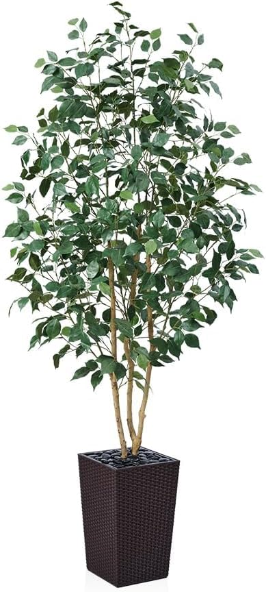 VeriNatural 6ft Artificial Ficus Tree,Tall Faux Tree with Silk Leaves & Real Wood Trunk,UV Resistant Potted Fake Plant with Pebbles & Planter-Indoor Outdoor Floor Plant for Home Living Room,VN129