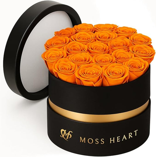 20 Mini Preserved Roses, Round Luxury Gift Box, Real Forever Roses Last 1+ Year, Premium Romantic Gift for Women, Wife, Girlfriend, Mother’s Day, Birthday, Anniversary, Valentine’s Day