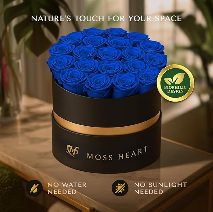 20 Mini Preserved Roses, Round Luxury Gift Box, Real Forever Roses Last 1+ Year, Premium Romantic Gift for Women, Wife, Girlfriend, Mother’s Day, Birthday, Anniversary, Valentine’s Day