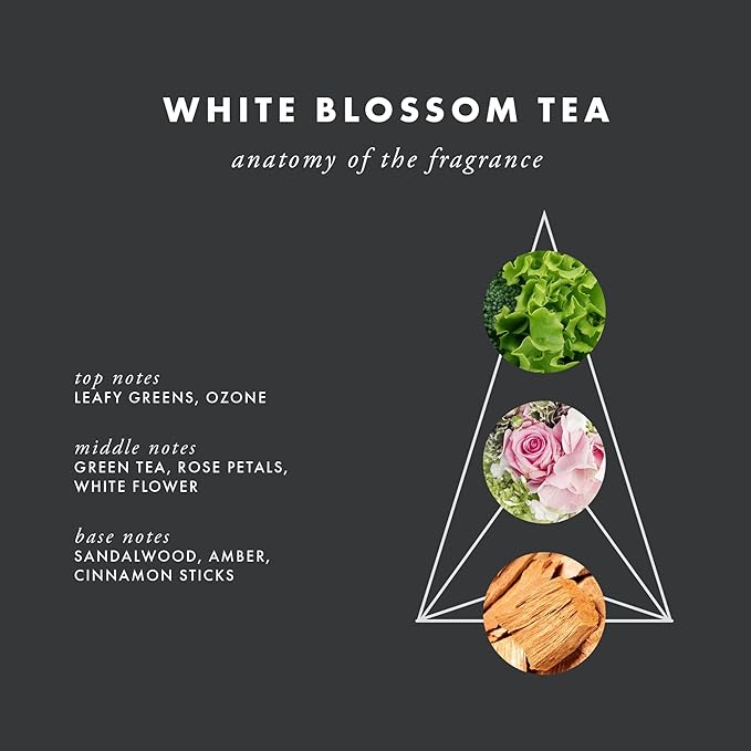 ScentAir Whisper Home Monthly Plug-in Refill, Fragrance Cartridge for Home and Office, White Blossom Tea