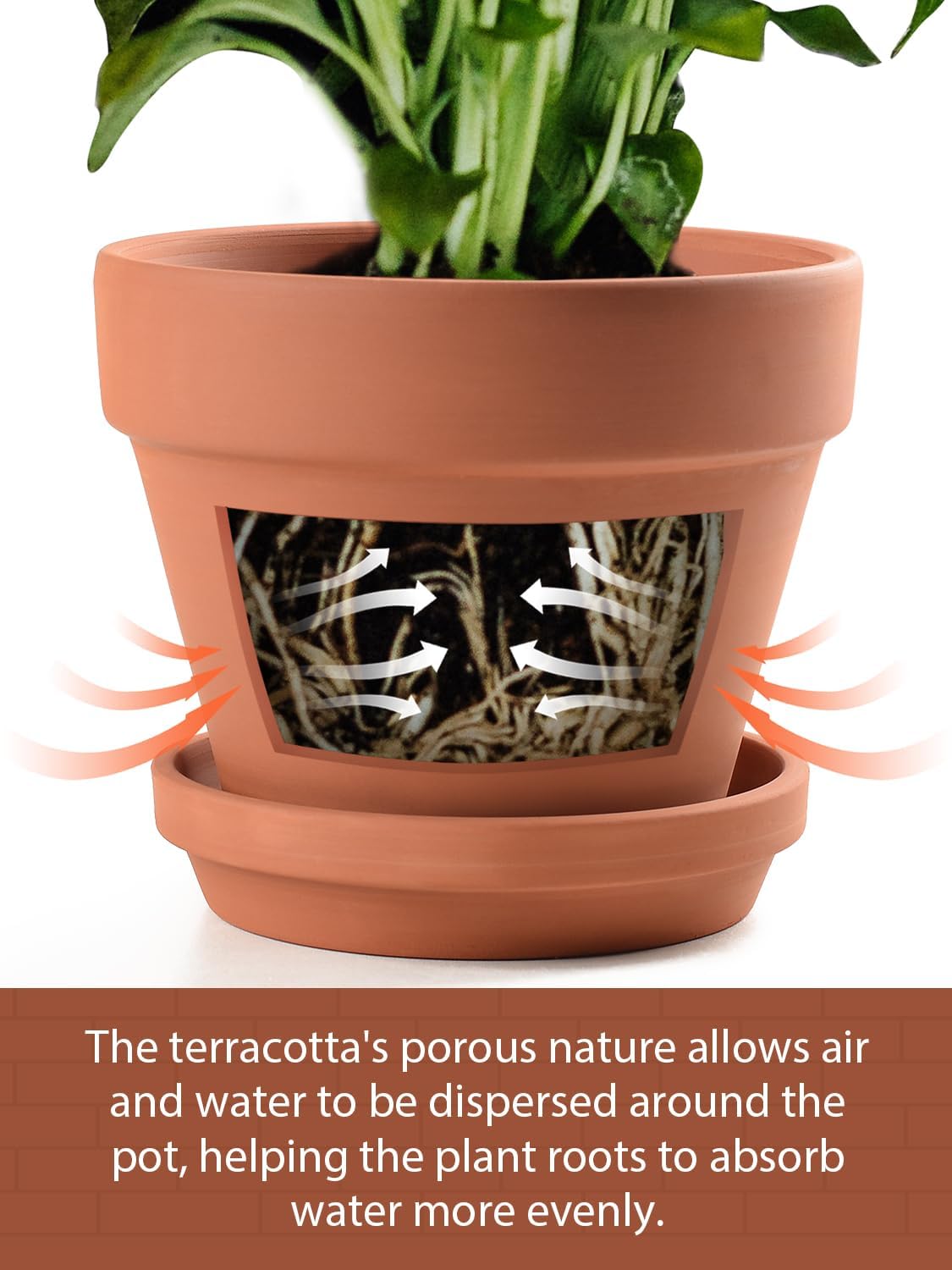 INGOFIN Terracotta Pots Set with Saucer - 5/6/7 inch Ceramic Clay Planters with Drainage Hole, Garden Flower Succulent Pots with Tray for Indoor Outdoor Plants, Set of 3