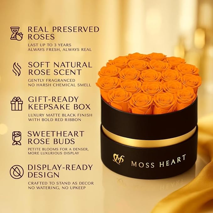 20 Mini Preserved Roses, Round Luxury Gift Box, Real Forever Roses Last 1+ Year, Premium Romantic Gift for Women, Wife, Girlfriend, Mother’s Day, Birthday, Anniversary, Valentine’s Day