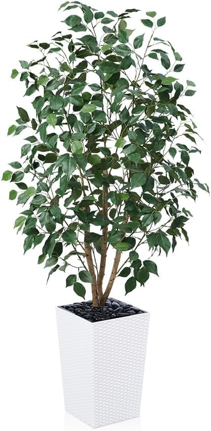 VeriNatural 5ft Artificial Ficus Tree,Tall Faux Tree with Pebbles & Planter UV Resistant Potted Fake Plant with Silk Leaves & Real Wood Trunk,Indoor Outdoor Floor Plant for Home,Living Room,VN129