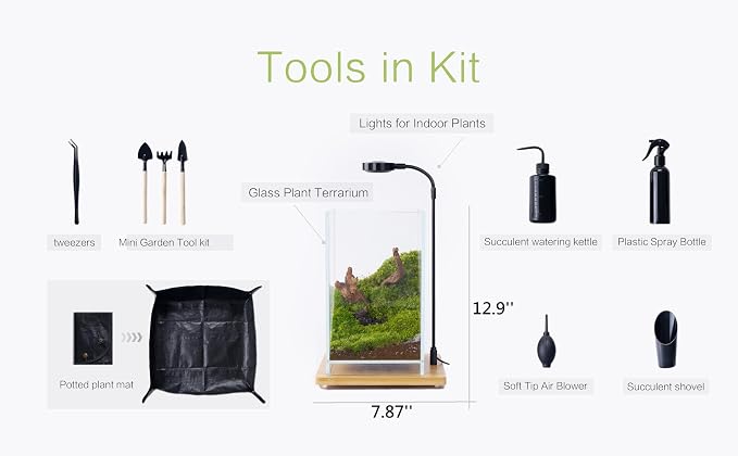 27 PCS Glass Plant Terrarium Kit with LED Grow Light– DIY Moss Terrarium Kit for Adults, Mini Garden Set for Succulent, Real Live Moss, and Air Plants – Home Office Decoration & Unique Gift fo Friend