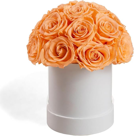 18 Preserved Roses in Round Dome Shape, Mother's Day Real Forever Flowers Rose Box, Eternal Rose Gift for Her Women Girl Friend Wife, Flower Gift for Valentines Day(Champagne)