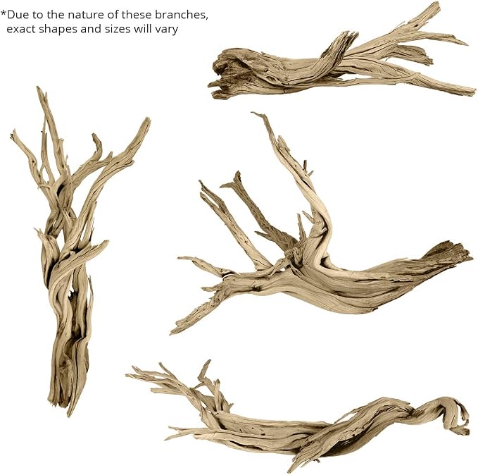 Koyal Wholesale 18” Driftwood Terrarium Decor, Clean California Manzanita Drift Wood Reptile Decor, Driftwood Decor for Home, Desert Reptile Supplies, Small or Large Driftwood Branches for Reptiles