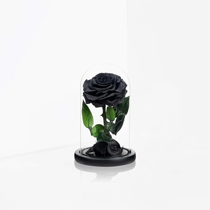 NATROSES Christmas Birthday Gifts for Women, Handmade Preserved Roses in Glass Dome, Black Roses Roses, Preserved Flowers Gifts for Mom, Mothers Day Flowers