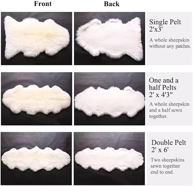 WL&ALLEN Genuine Sheepskin 100% New Zealand Sheepskin Wool Area Rug |Single Pelt 2'x 3', Ivory White