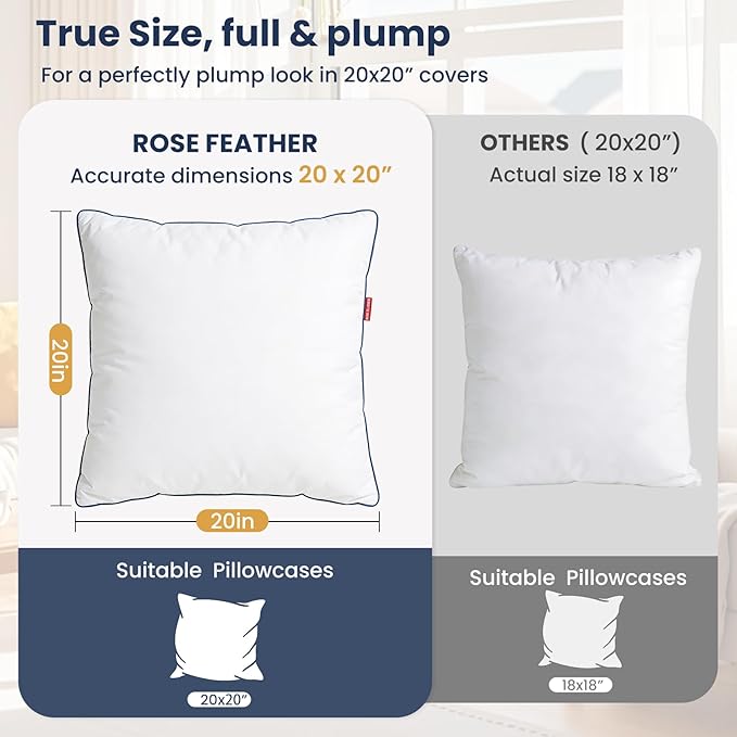 Down Pillow Inserts 20x20, Set of 2, 100% Goose Down Feather Throw Pillows Inserts, Triple-Layer Downproof, Decorative Pillow Insert with Soft Cotton Cover for Couch,Sofa,Bed,Living Room