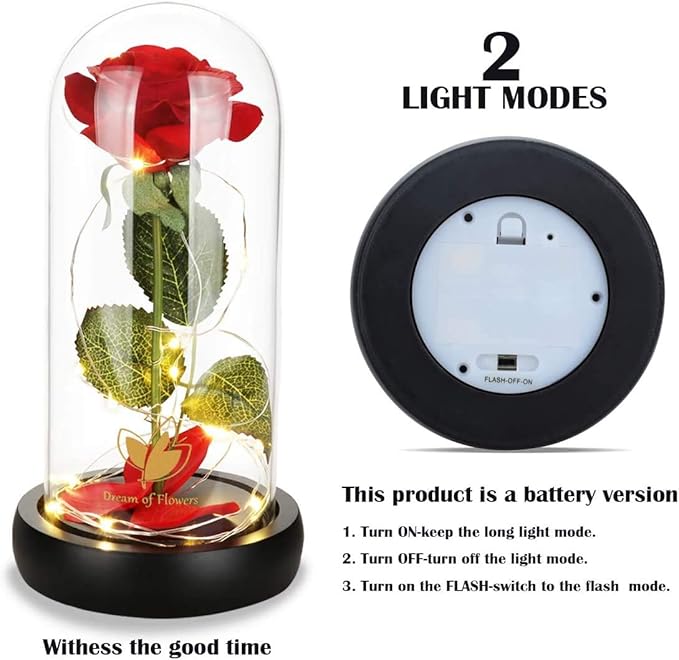 Beauty and The Beast Rose Birthday Gifts for Women, Valentine's Day Gifts for her, Eternal Rose Artificial Flower Light Up Rose in Glass Dome, Glass Roes Flower Gifts for Wife/Girlfriend